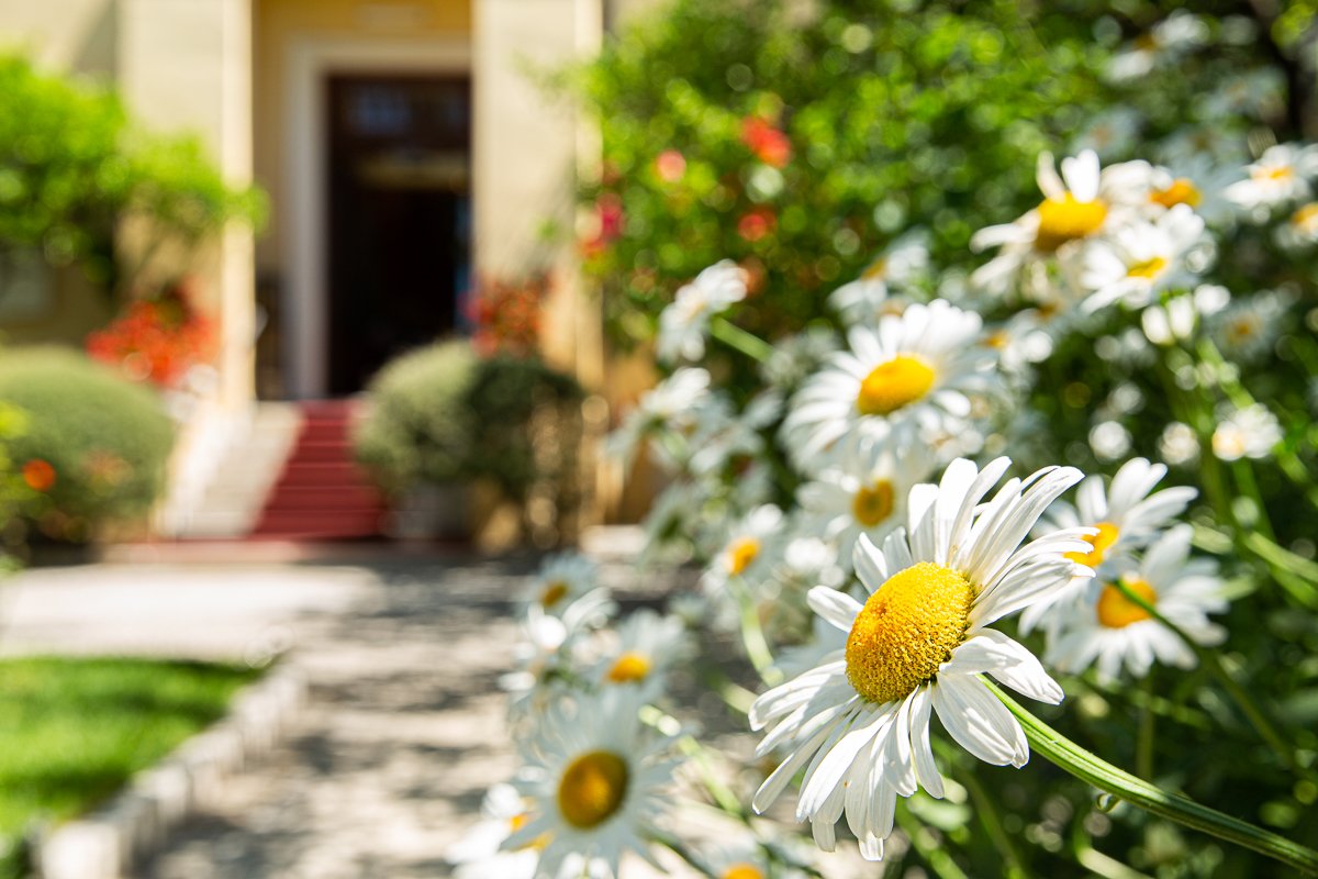 Hotel Villa Elisa